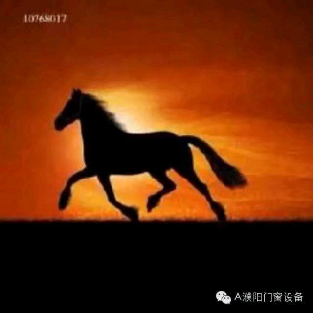 牵手天意  天天满意