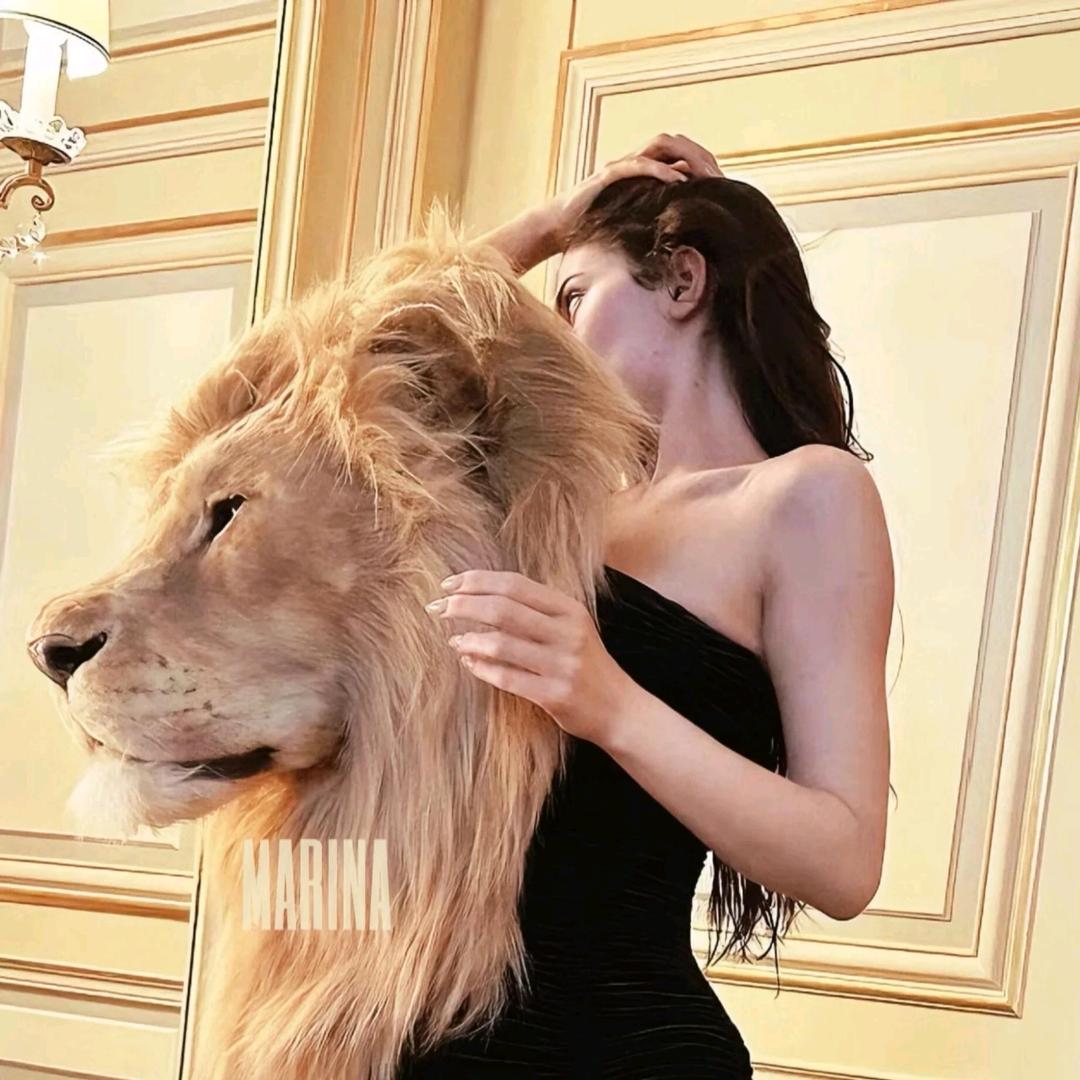 你是不是有猫饼🐱