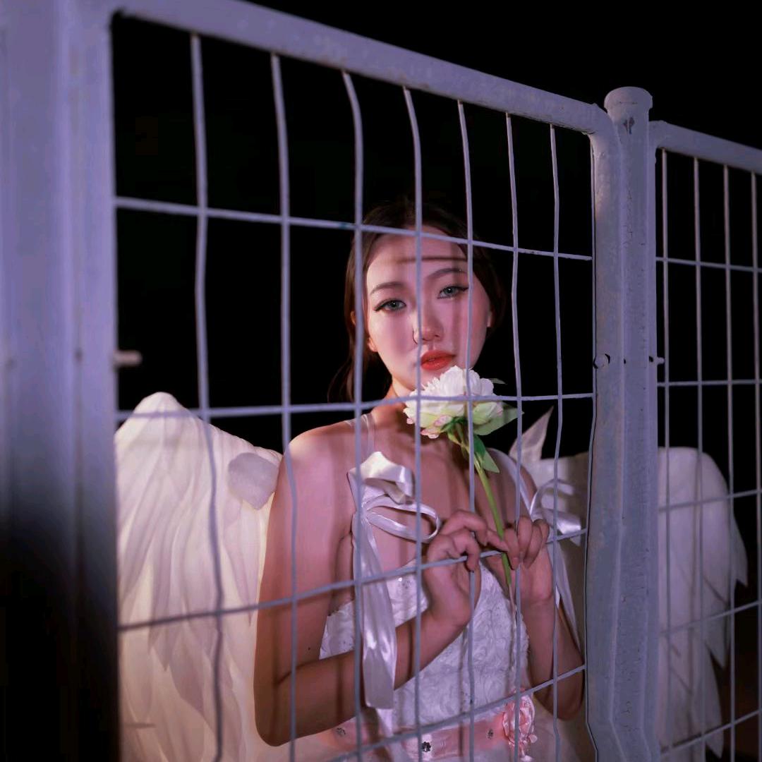 珊珊(努力搬砖版)