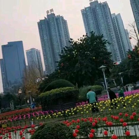 萍聚