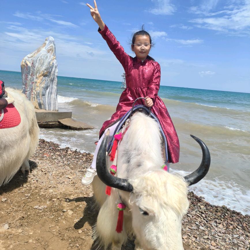 宝音家庭牧场 baoyin