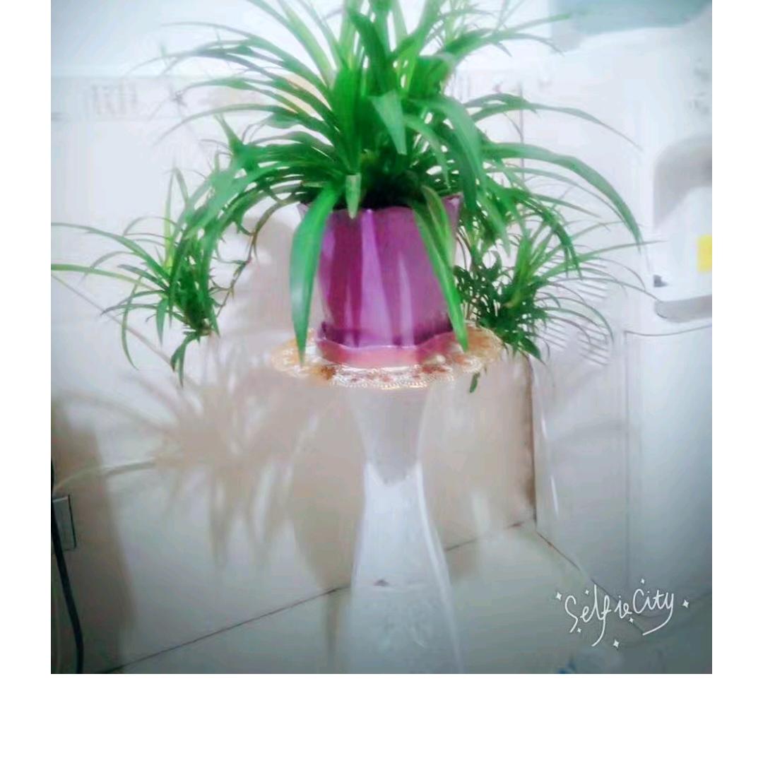 1295039698看淡一切