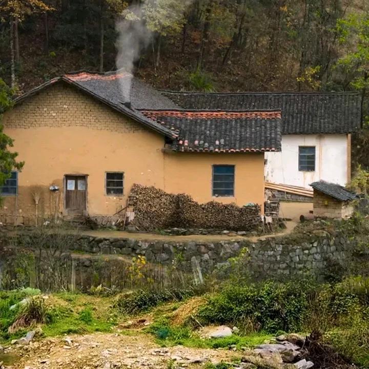 南山篱下
