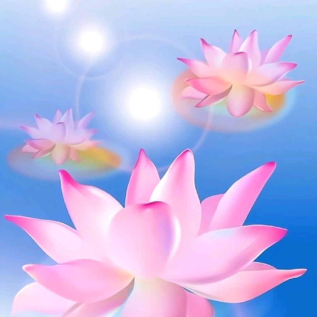 好运绵绵🍎🍎🍎