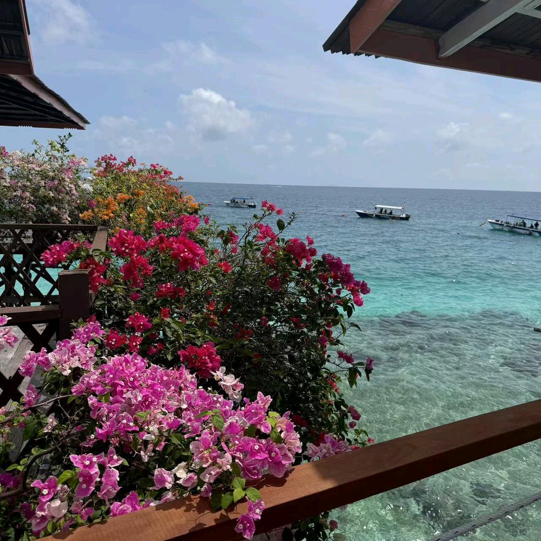 面向大海，春暖花开