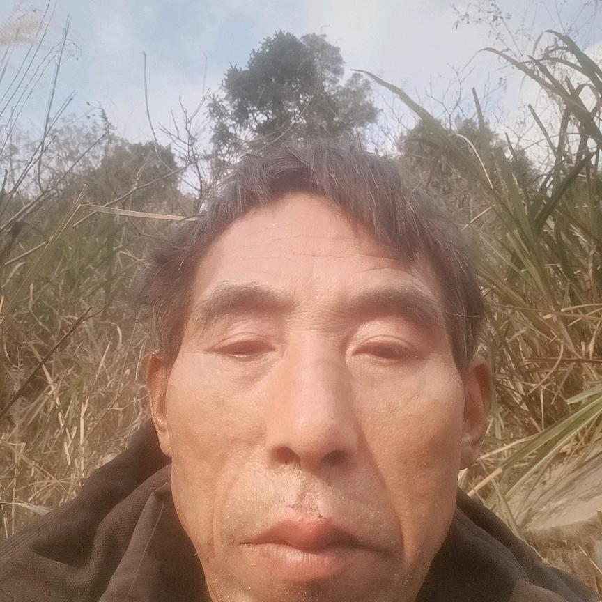 大网红