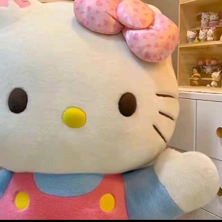 悲伤的𝙆𝙞𝙩𝙩𝙮猫