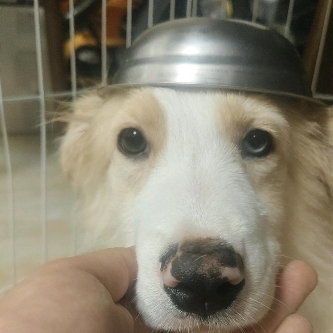 开心