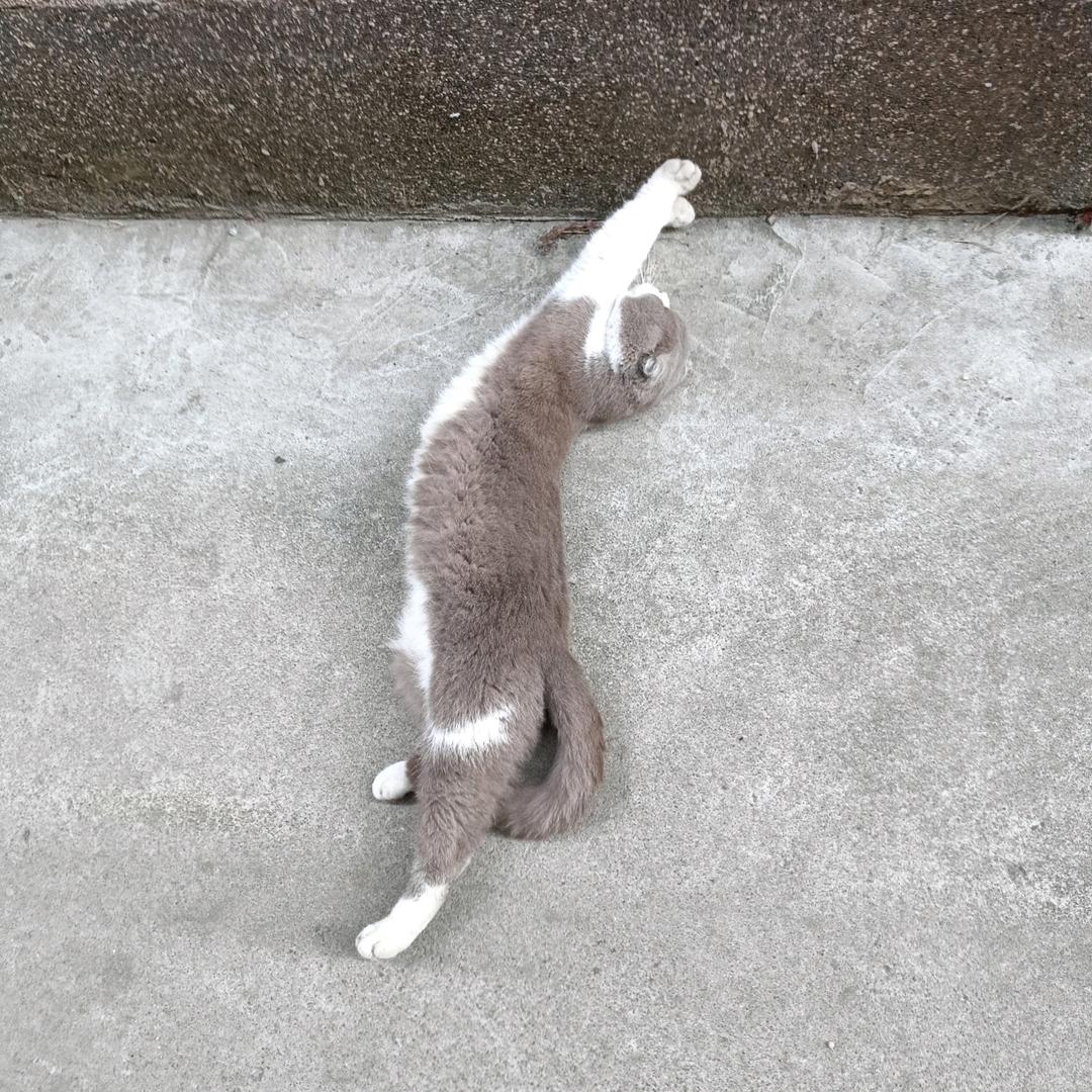 星星（记录生活）