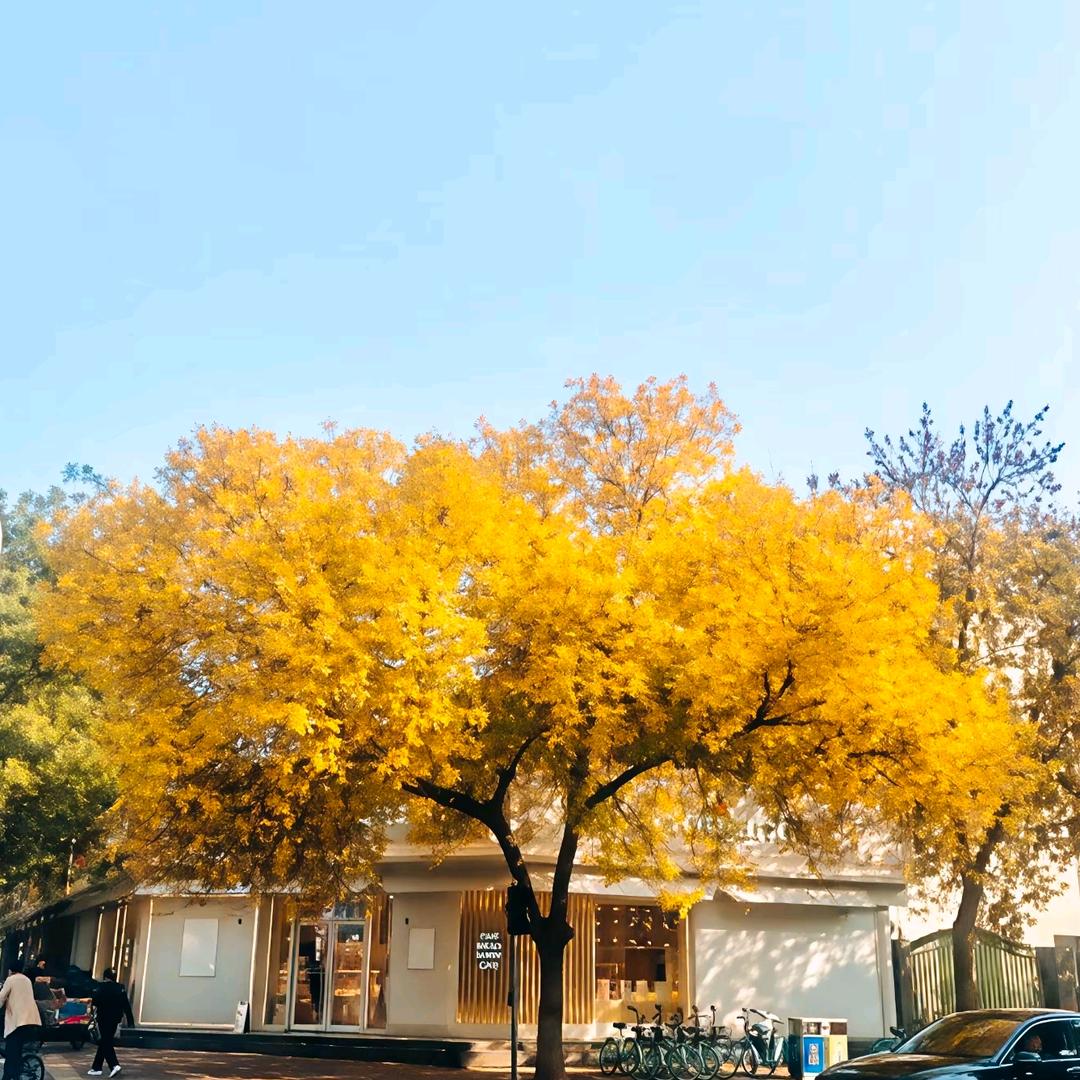 A救护车在奔跑、