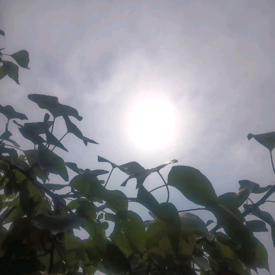 张建飞日常商店