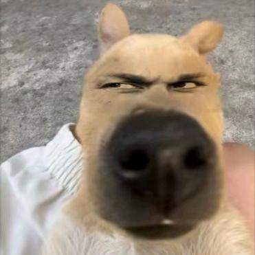 JAC