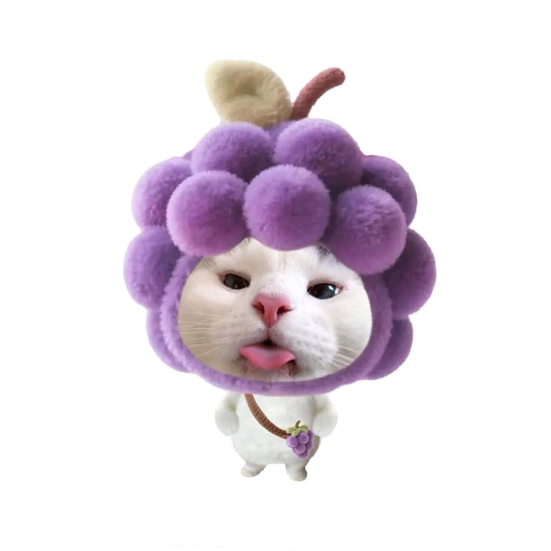 有刺的猬