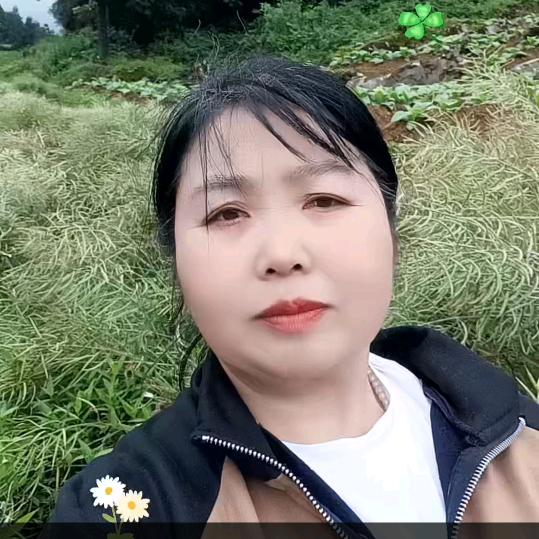 石连飞十点过十分开