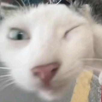 雞脖衝