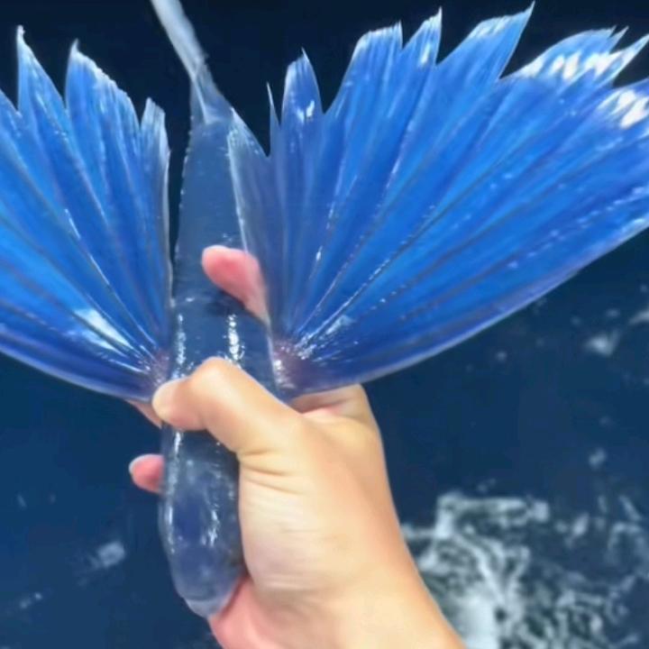 ℳঞ 💞ꦿ ໌້ᮨ默语꧔ꦿ᭄🌻