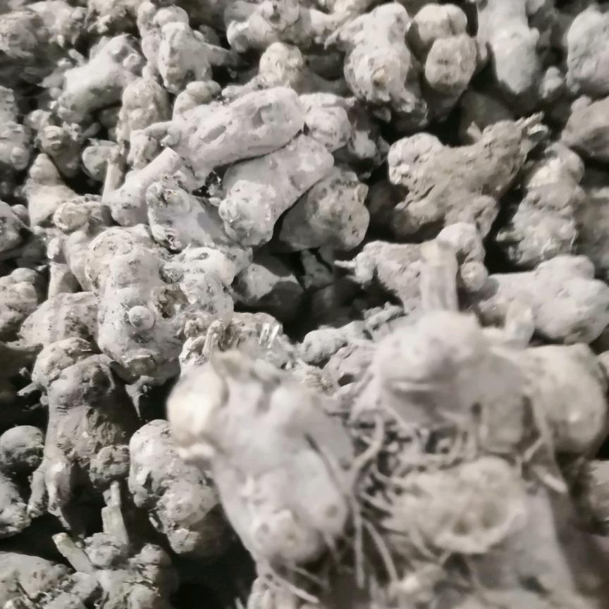 😊😊😊开心就好