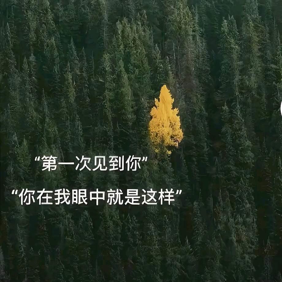 梁上清风踏歌行