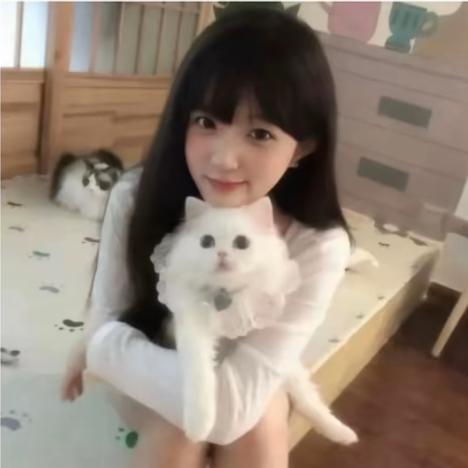 yy