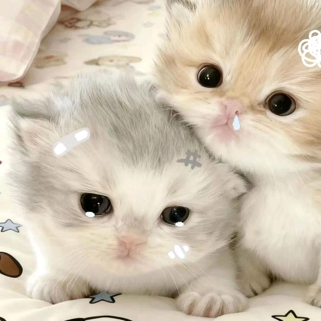 用户96475911471ㅤㅤㅤㅤㅤㅤ