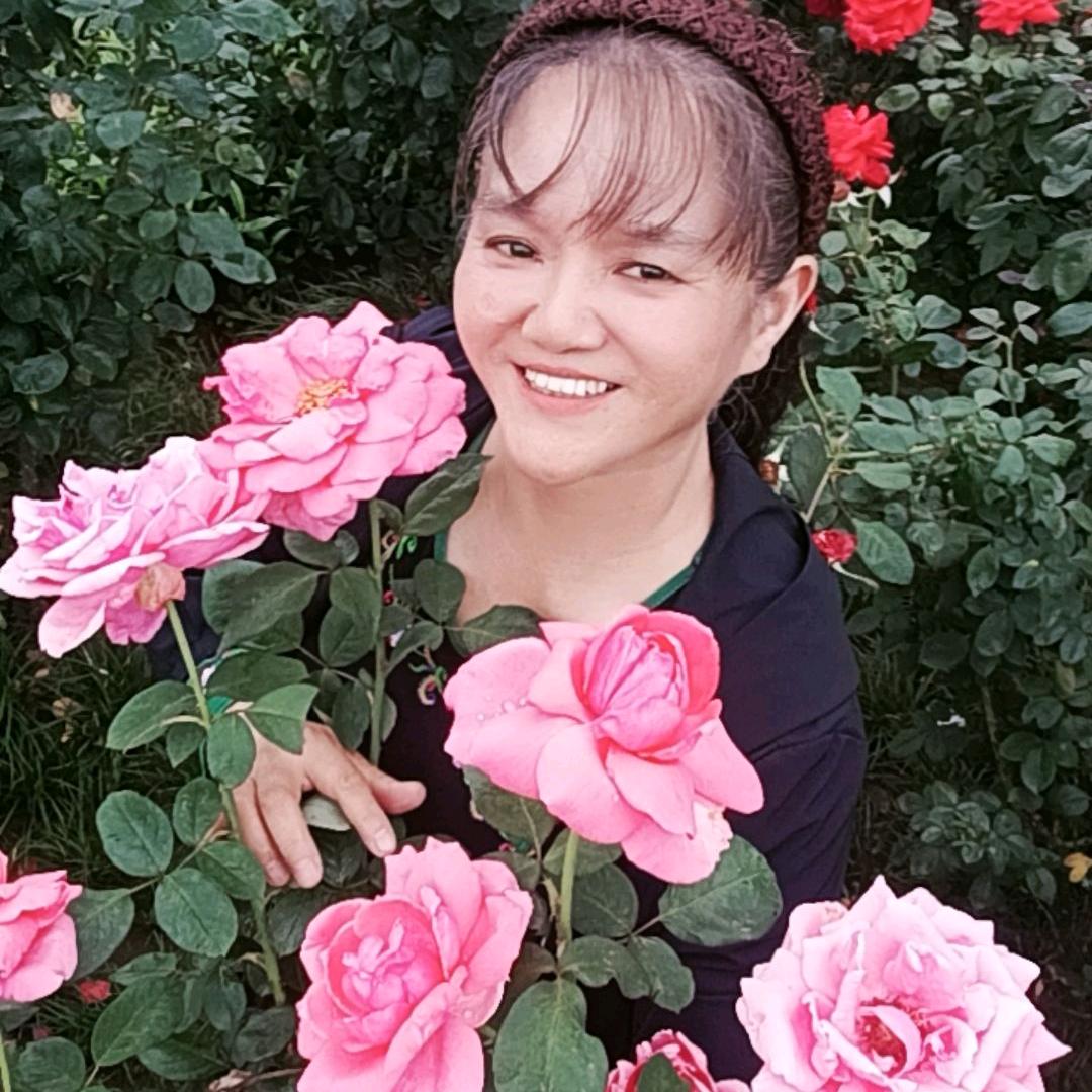 梅花（商品在橱窗）