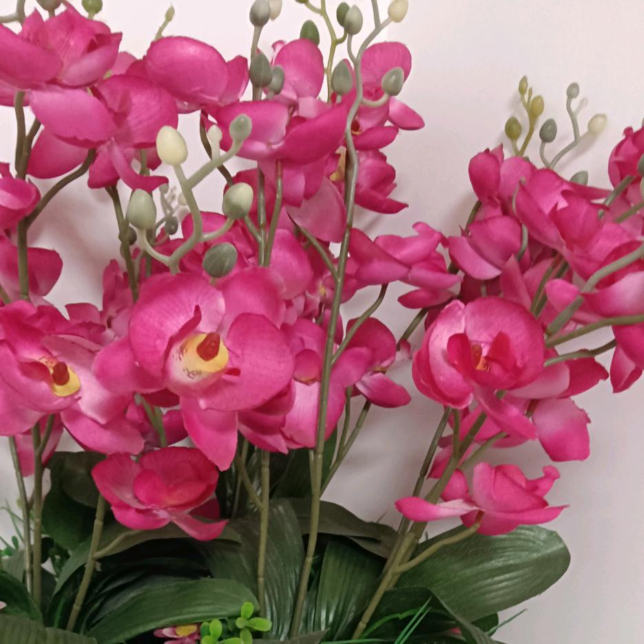 张芝芳