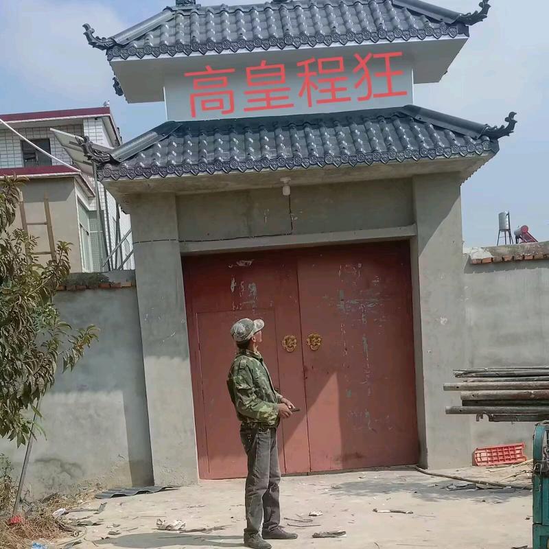 高皇程狂