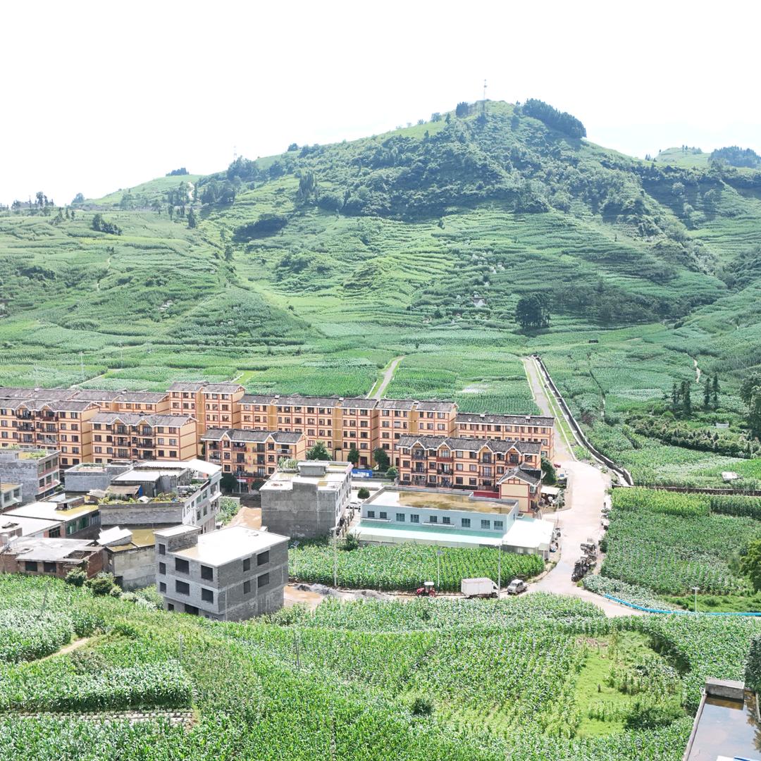 贵州麦儿黄工厂店