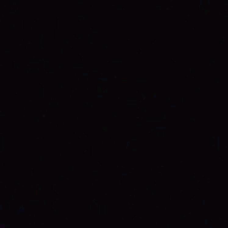 19小锋