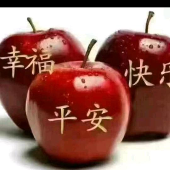 阳光儿