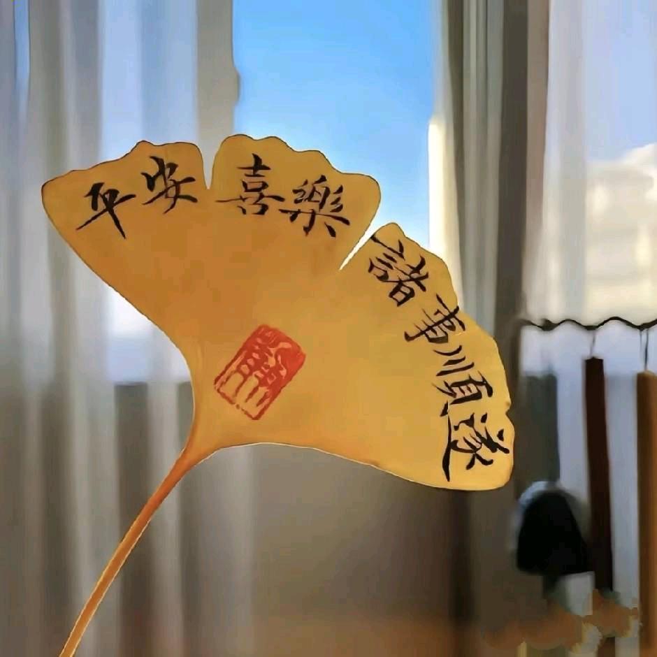 随遇而安