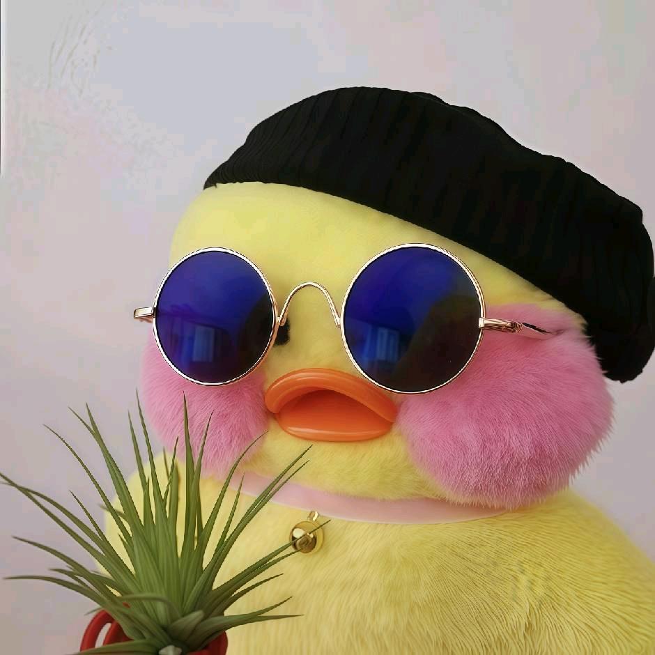 团团小卖部｜鸭鸭🦆