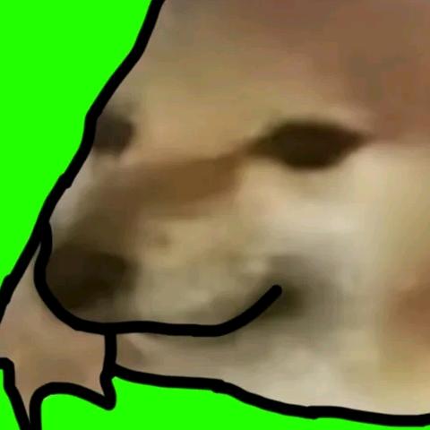 新人主播三角洲小米粥