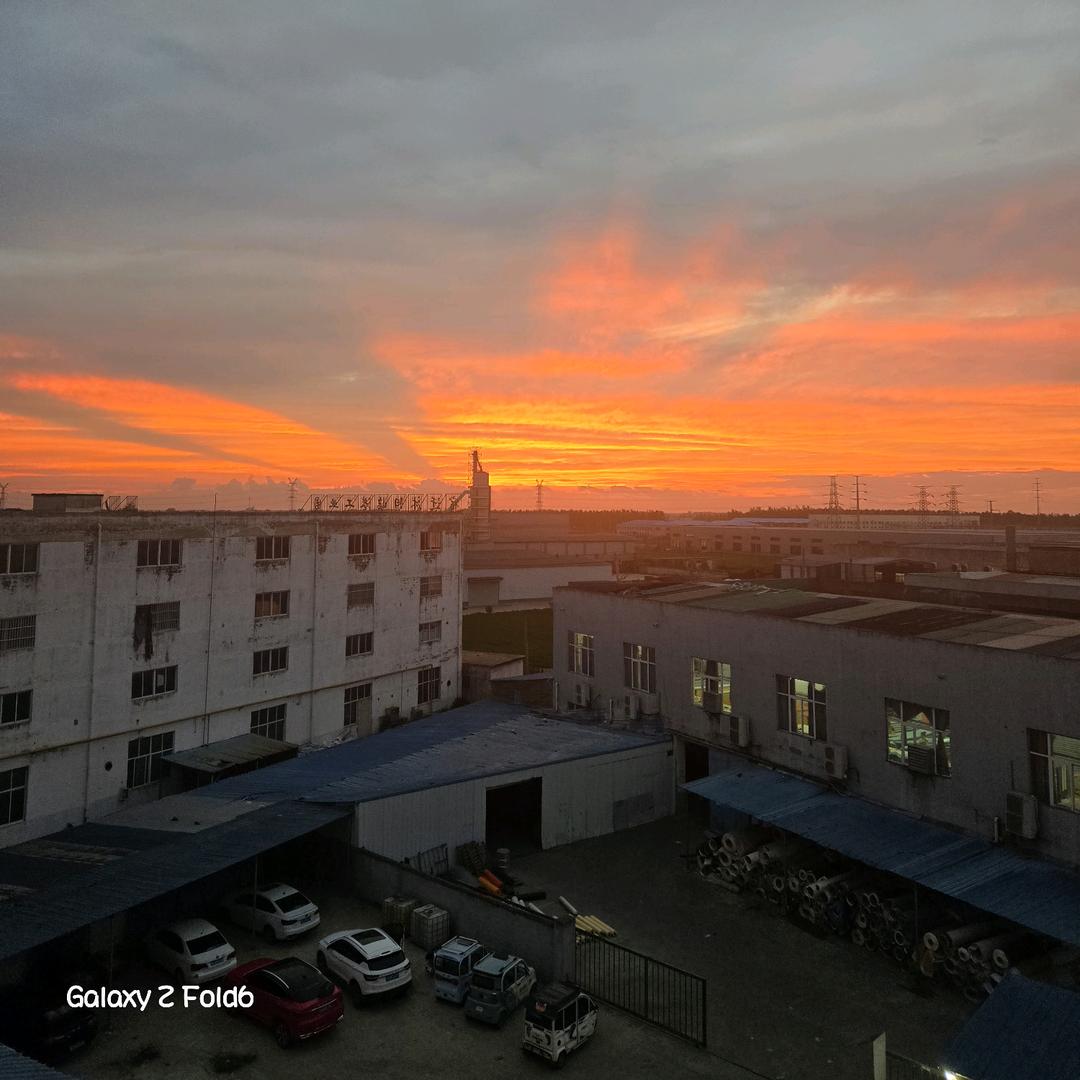 空有凌云千般志