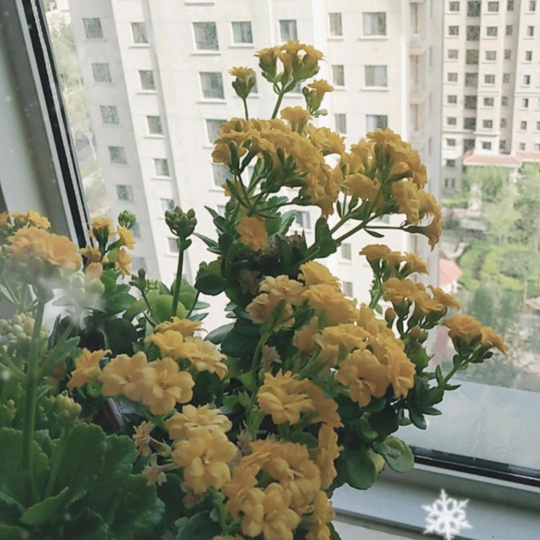 亿衡大吉大利