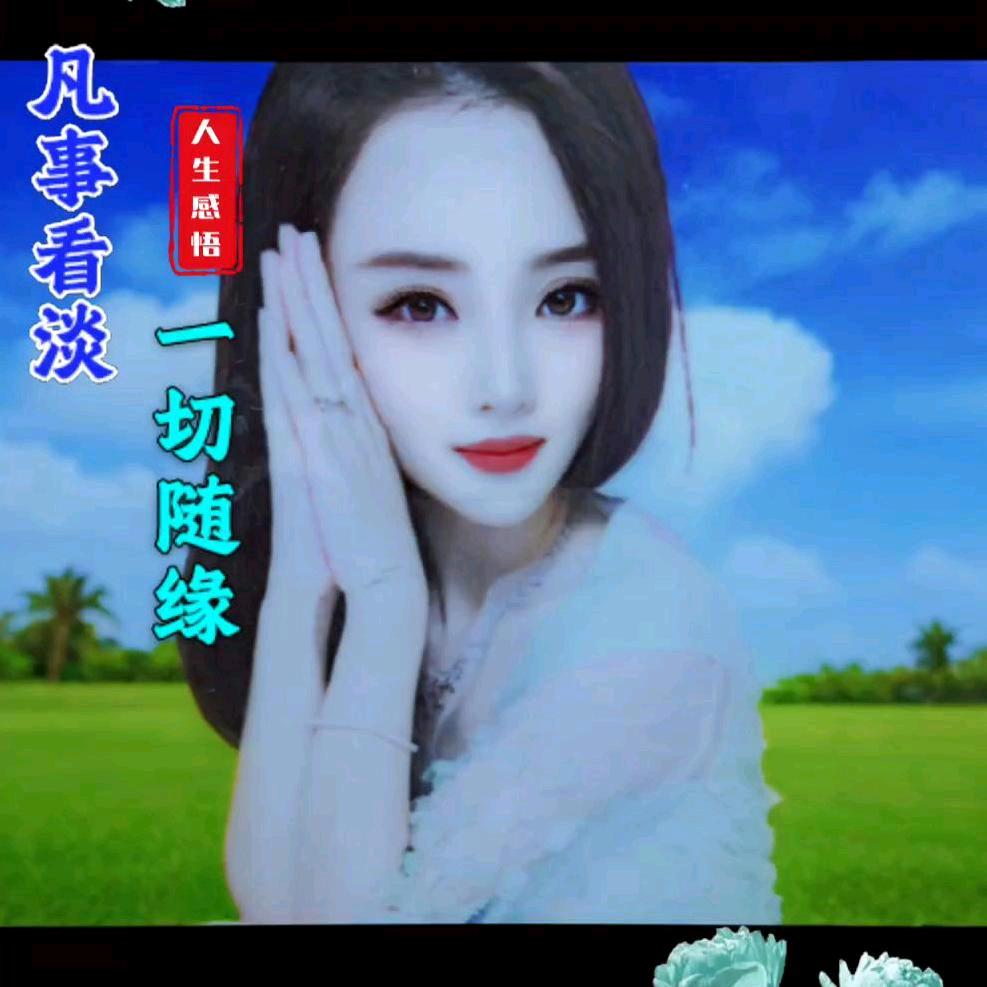 九月菊花