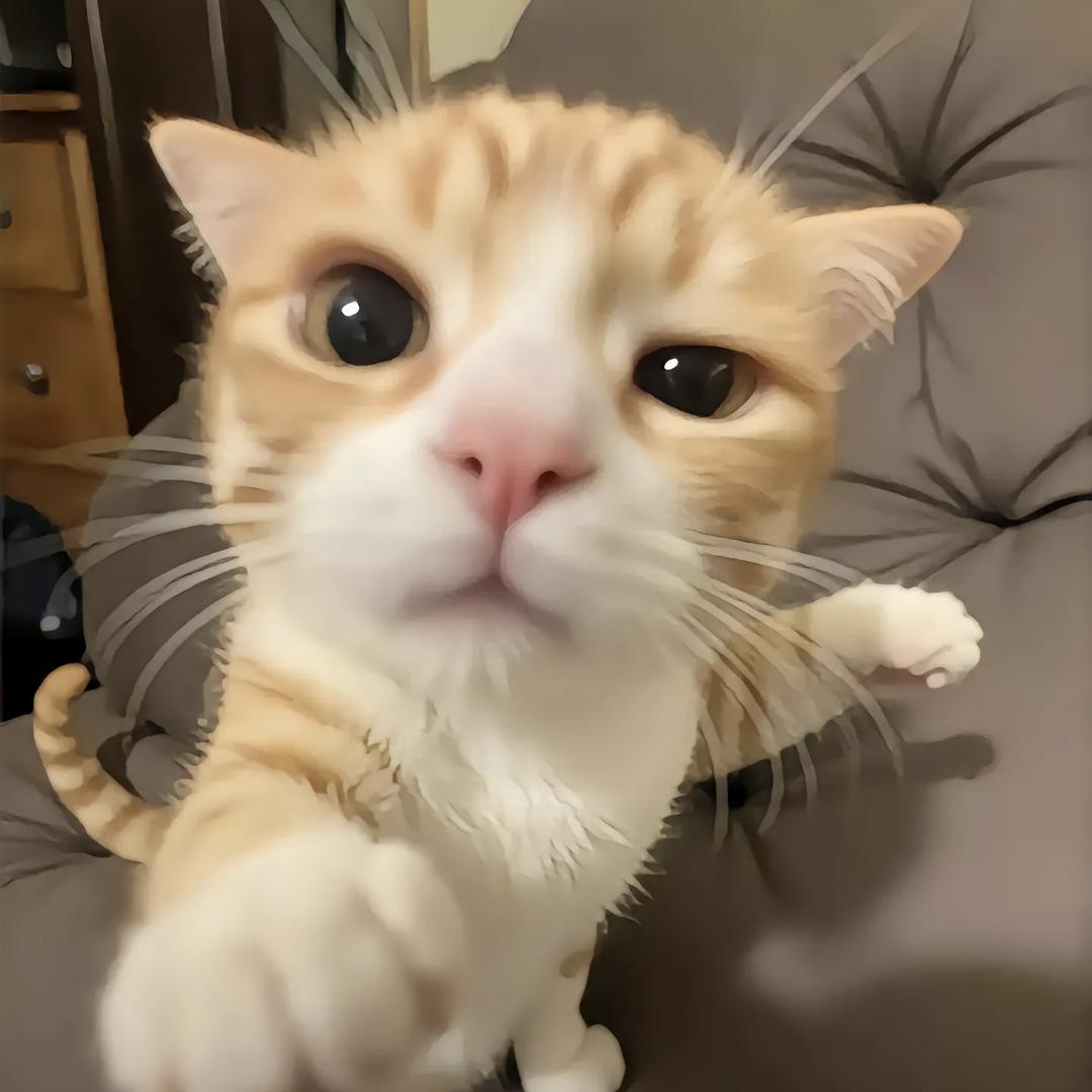 小烨