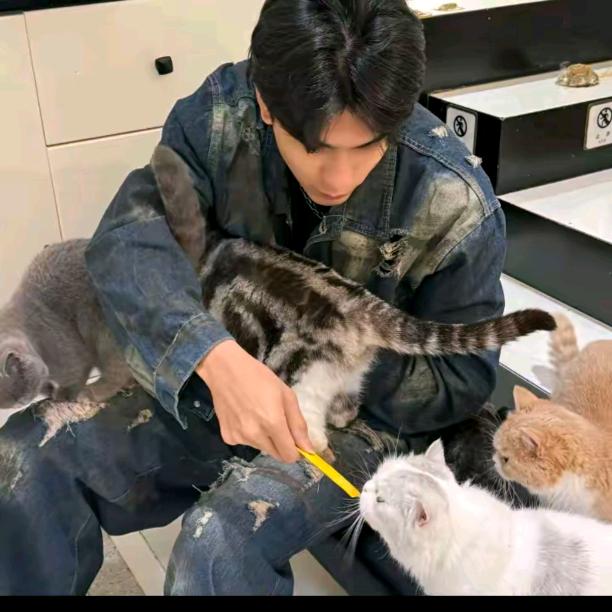 日常生活福利号♛