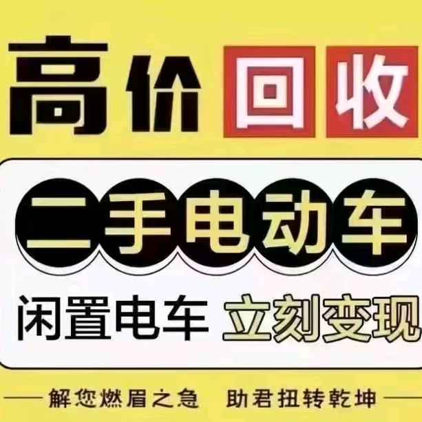 海口远哥二手电动车