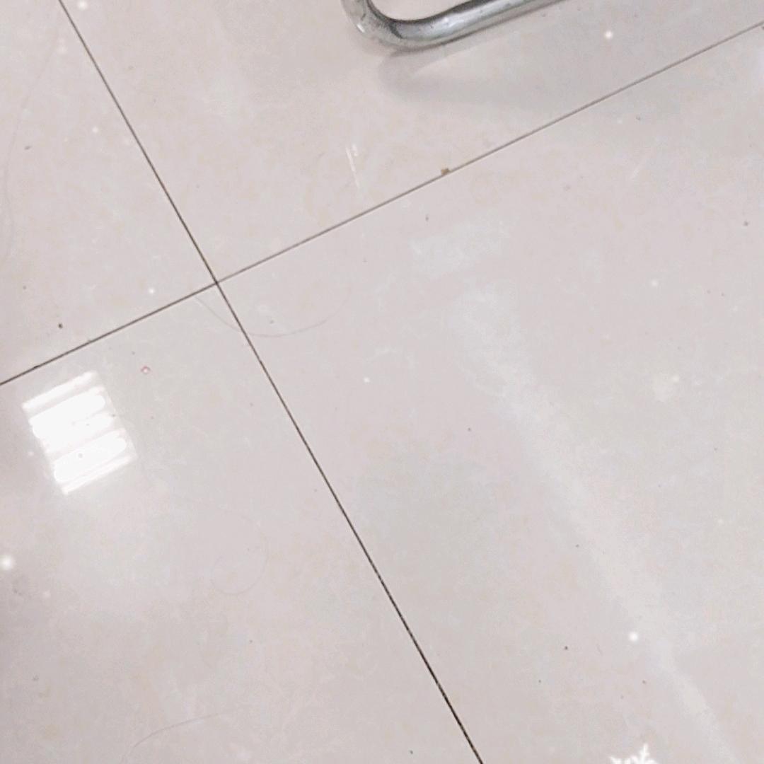 晴儿