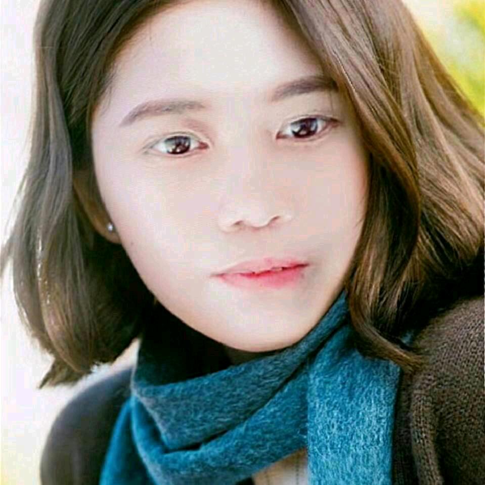 幸运草54622