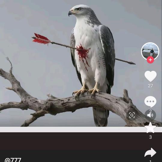 余生💔随心💔