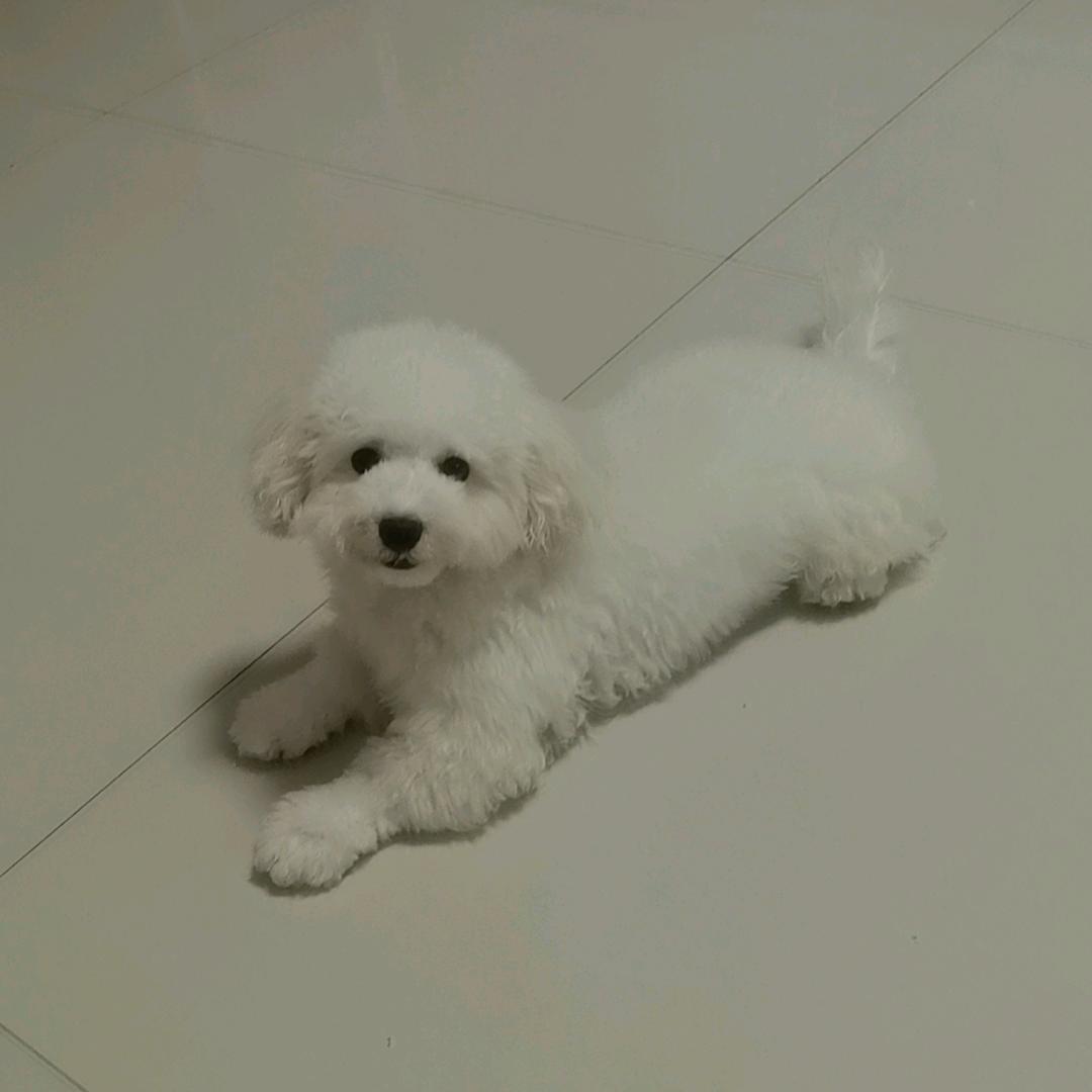 没想好