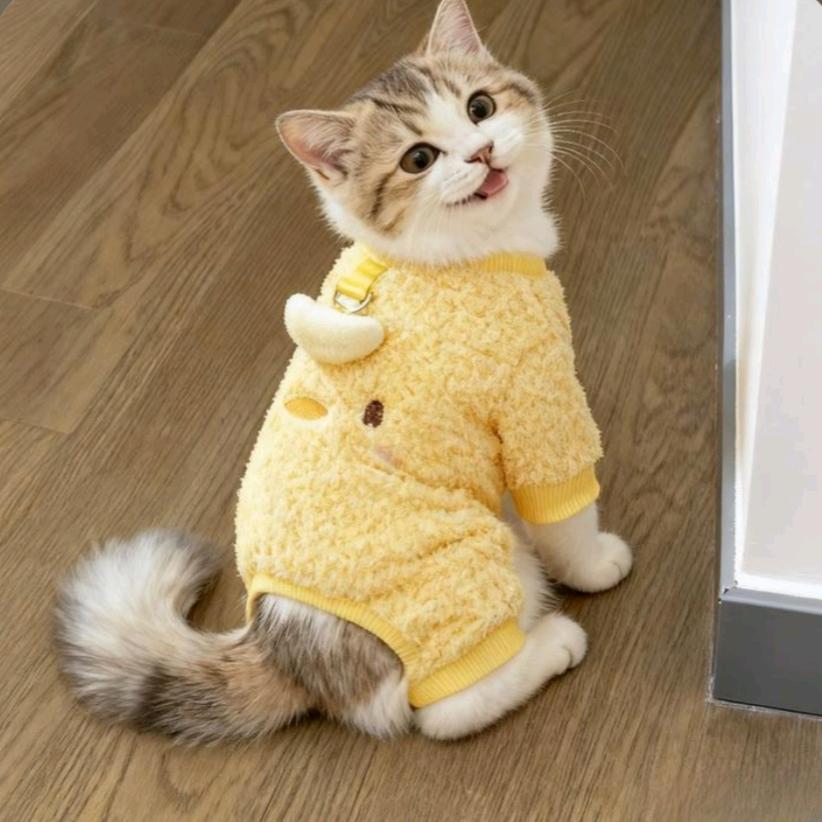 豫萌衣橱（不定时直播）