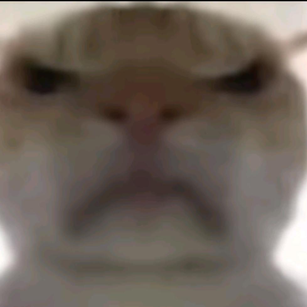 七两