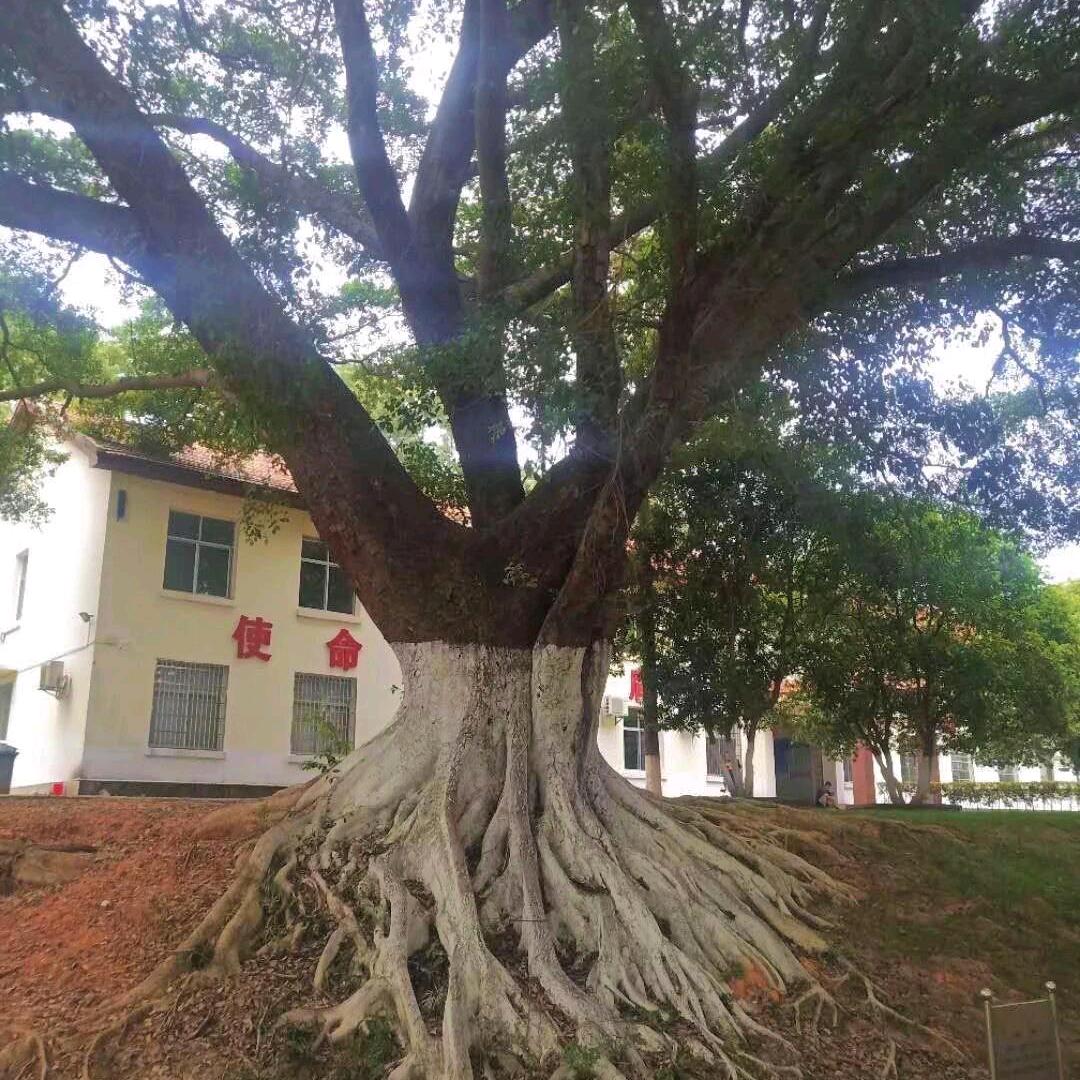 新时代匠人