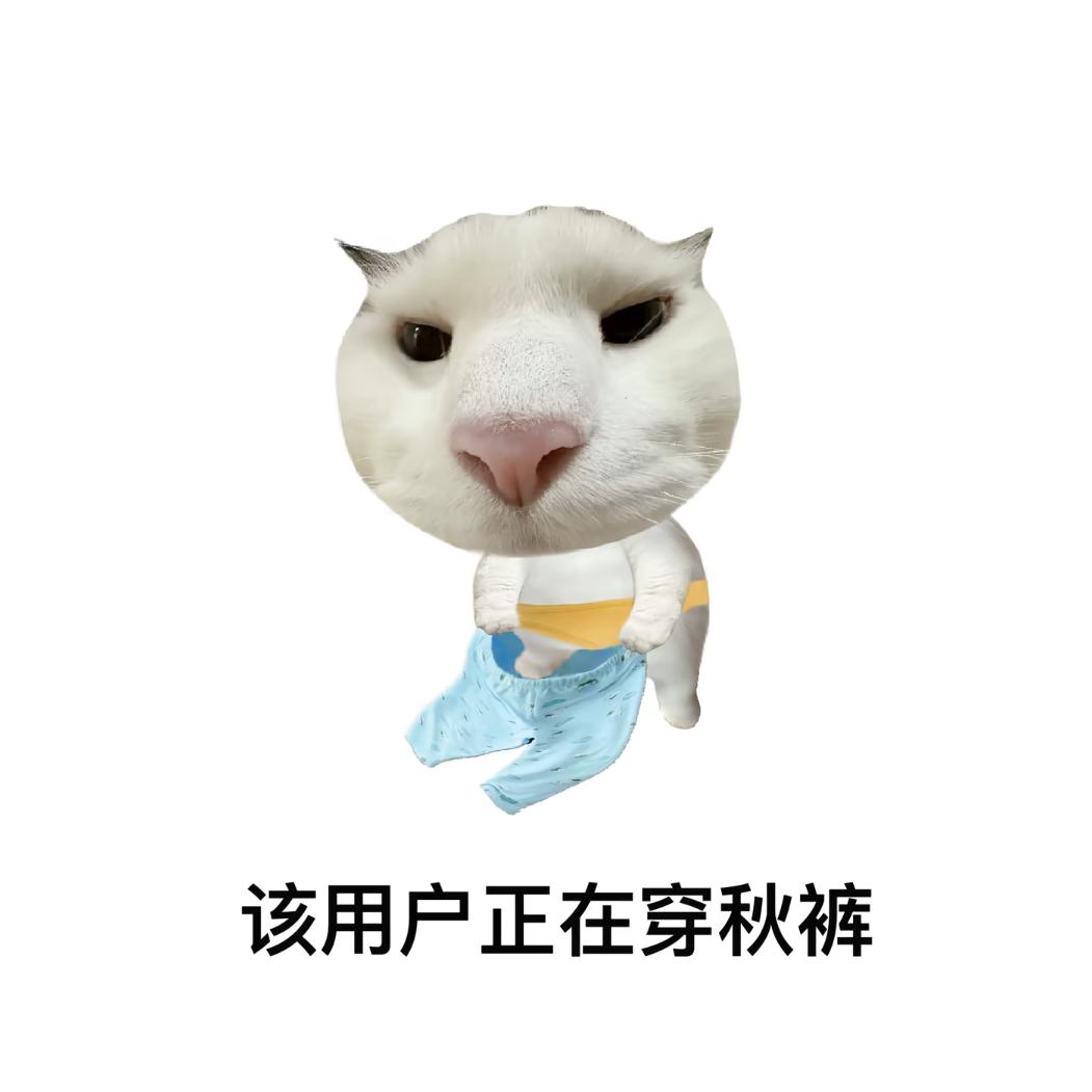 岚