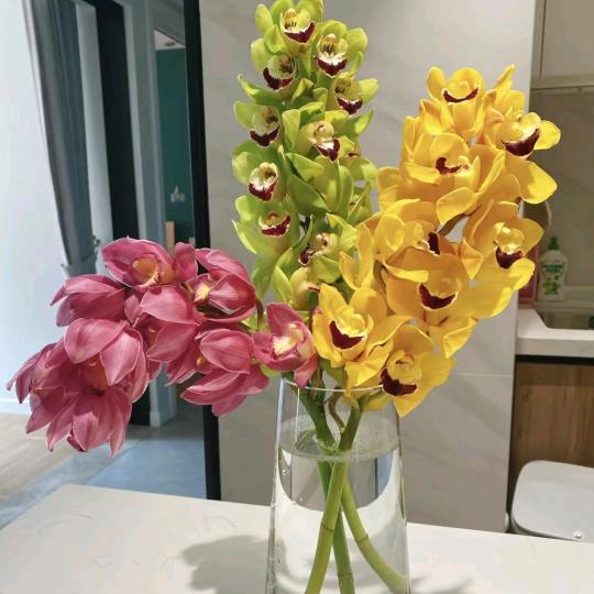 大花蕙兰切花批发