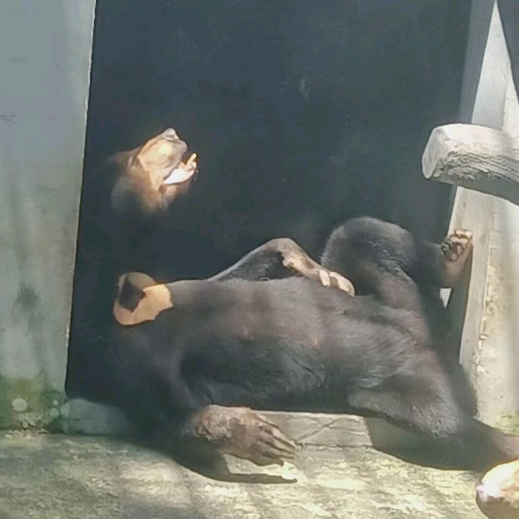 断弦