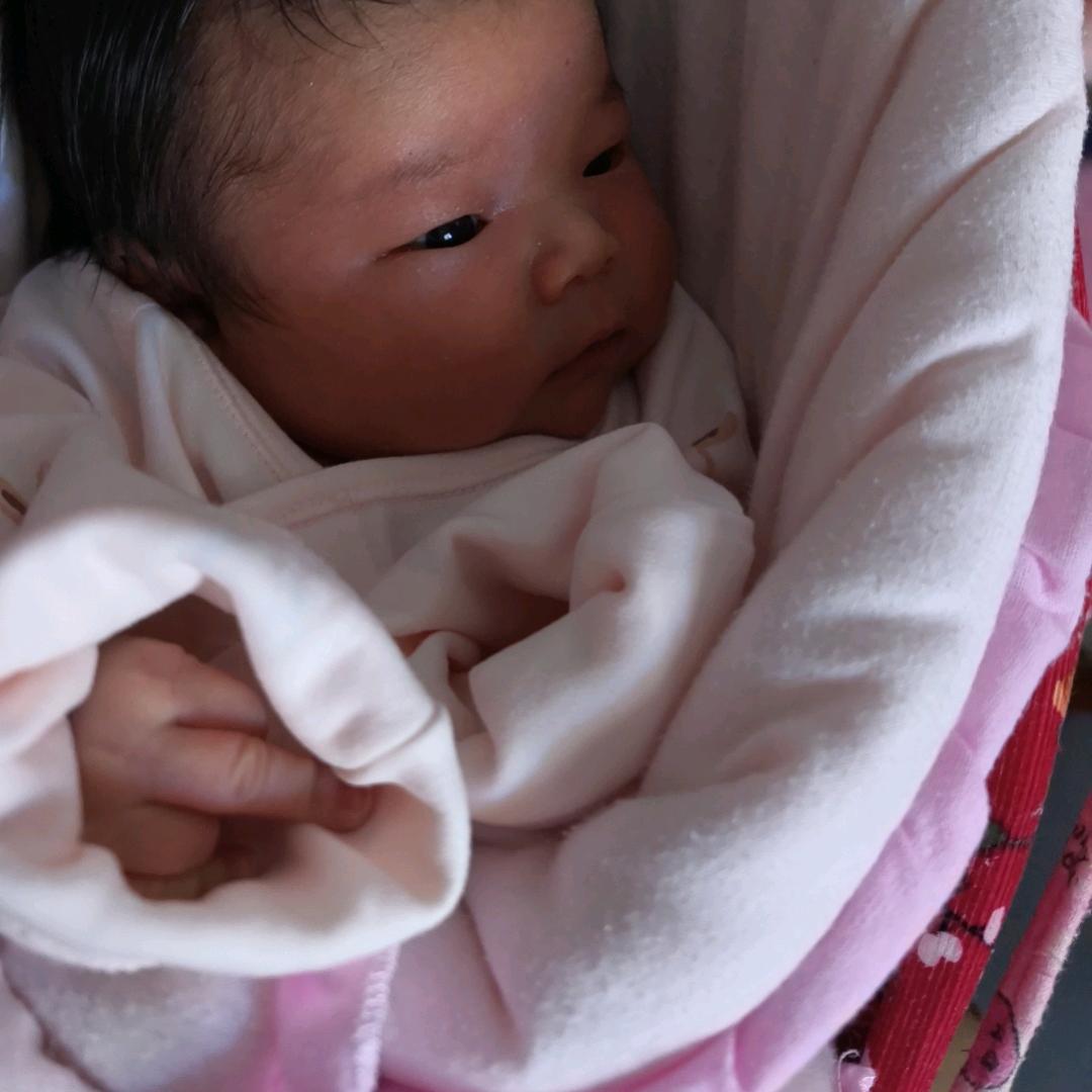 小珑瑶